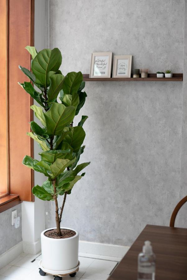 Pandora House Căn hộ TP. Hồ Chí Minh